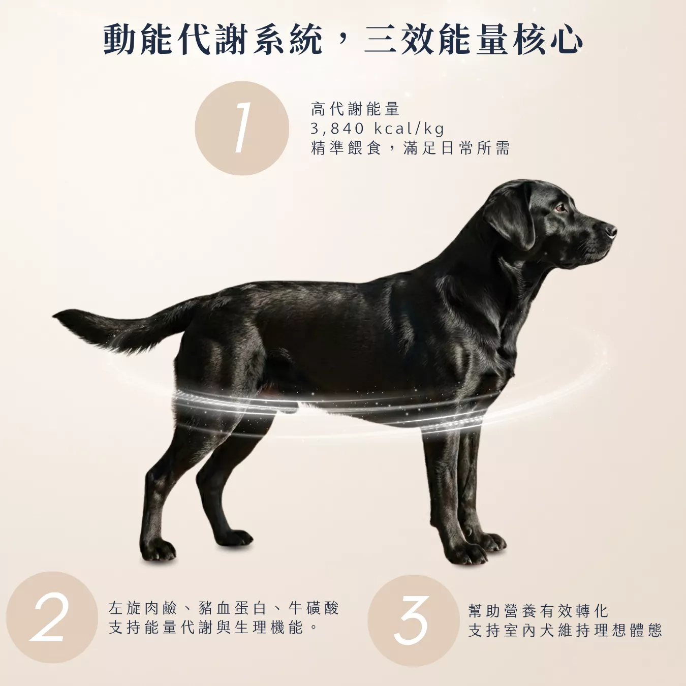 提姆博士_全方位-5.png