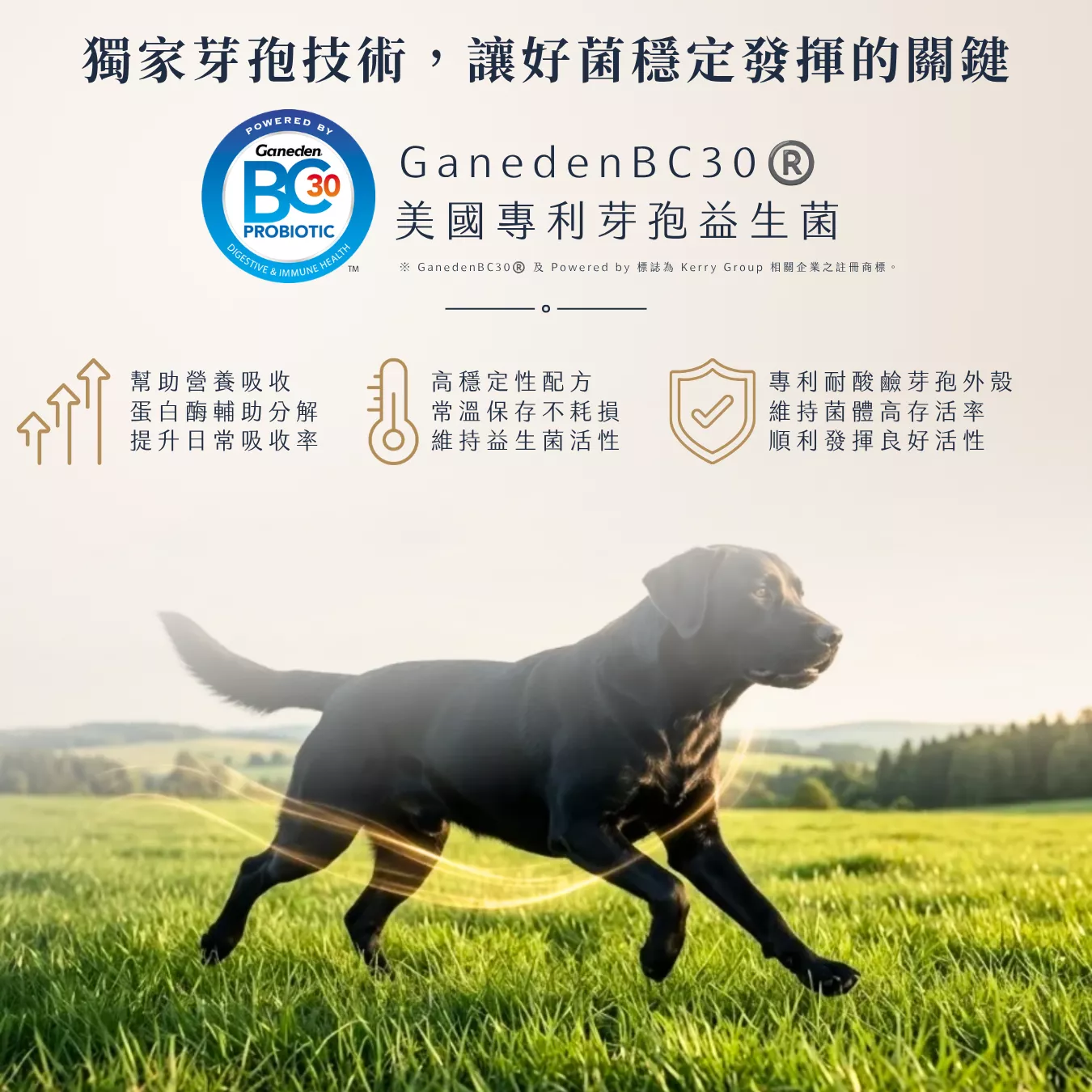提姆博士_全方位-6.png
