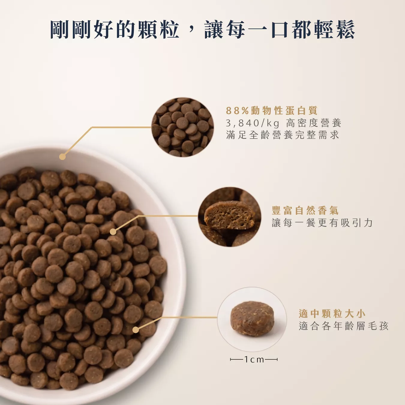 提姆博士_全方位-7.png