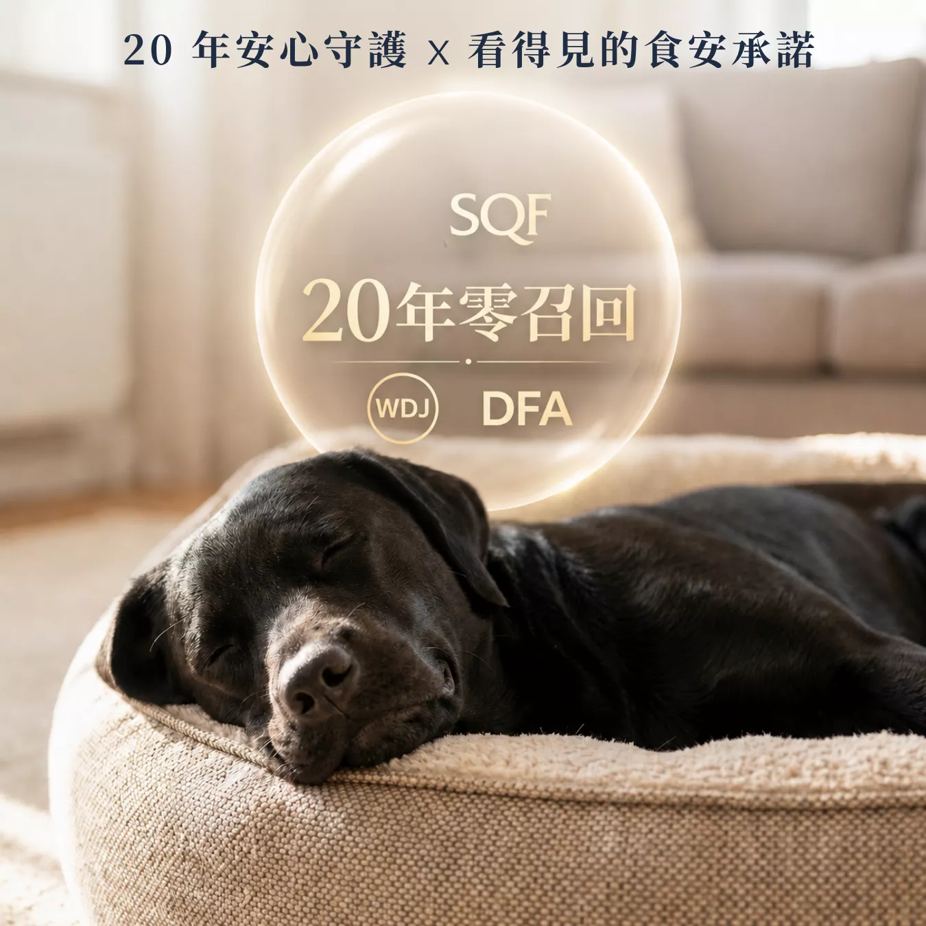提姆博士_全方位-9.png