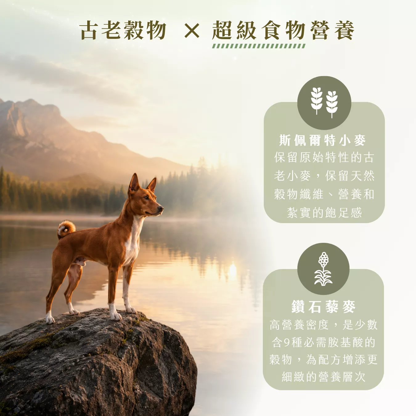 提姆博士_海洋-3.png