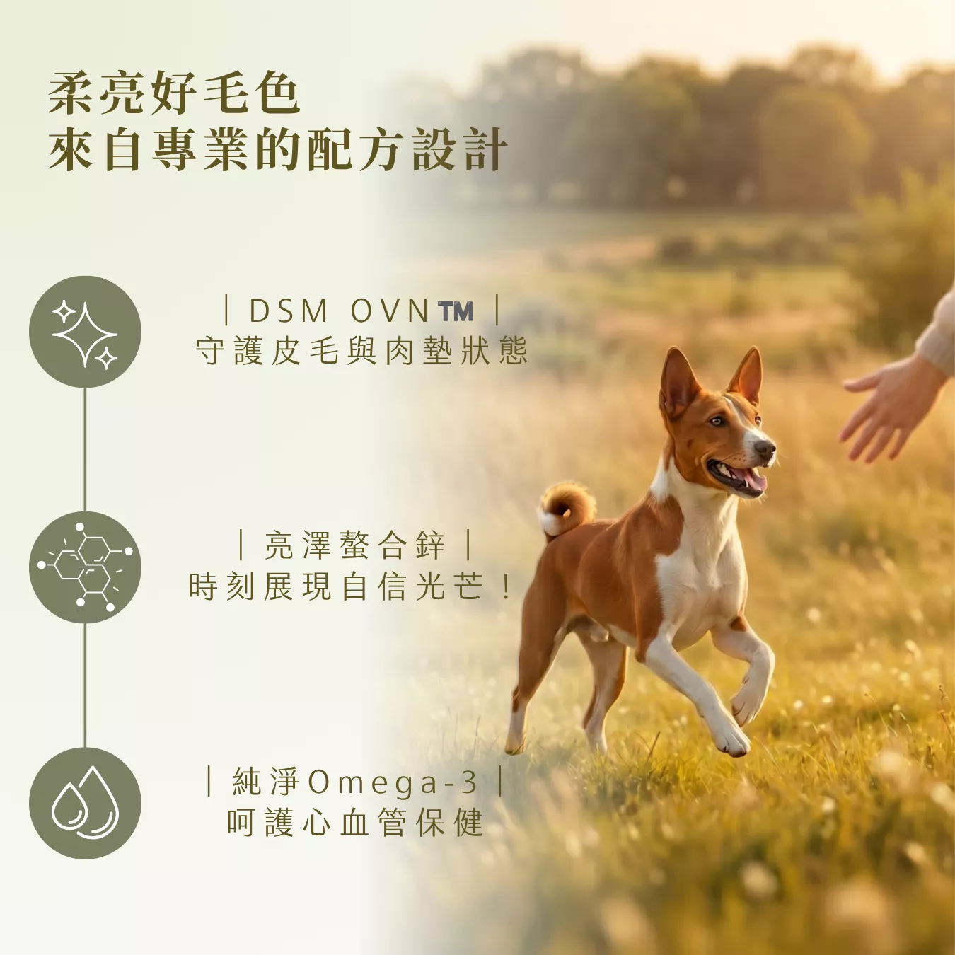 提姆博士_海洋-4.png