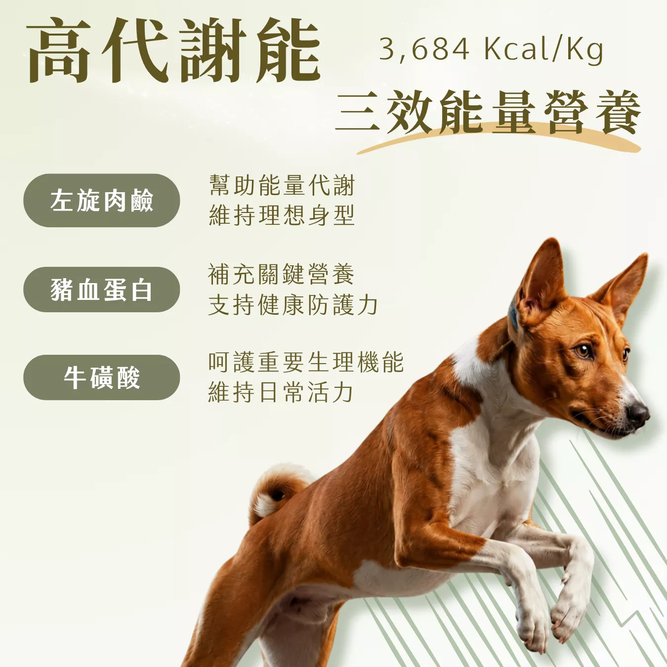 提姆博士_海洋-5.png