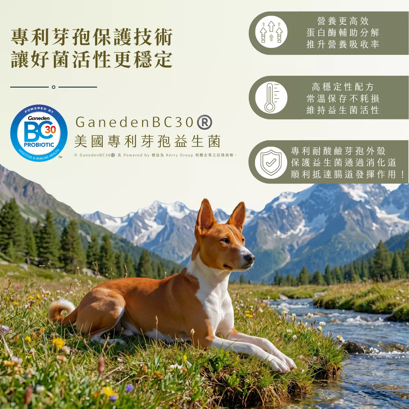 提姆博士_海洋-6.png