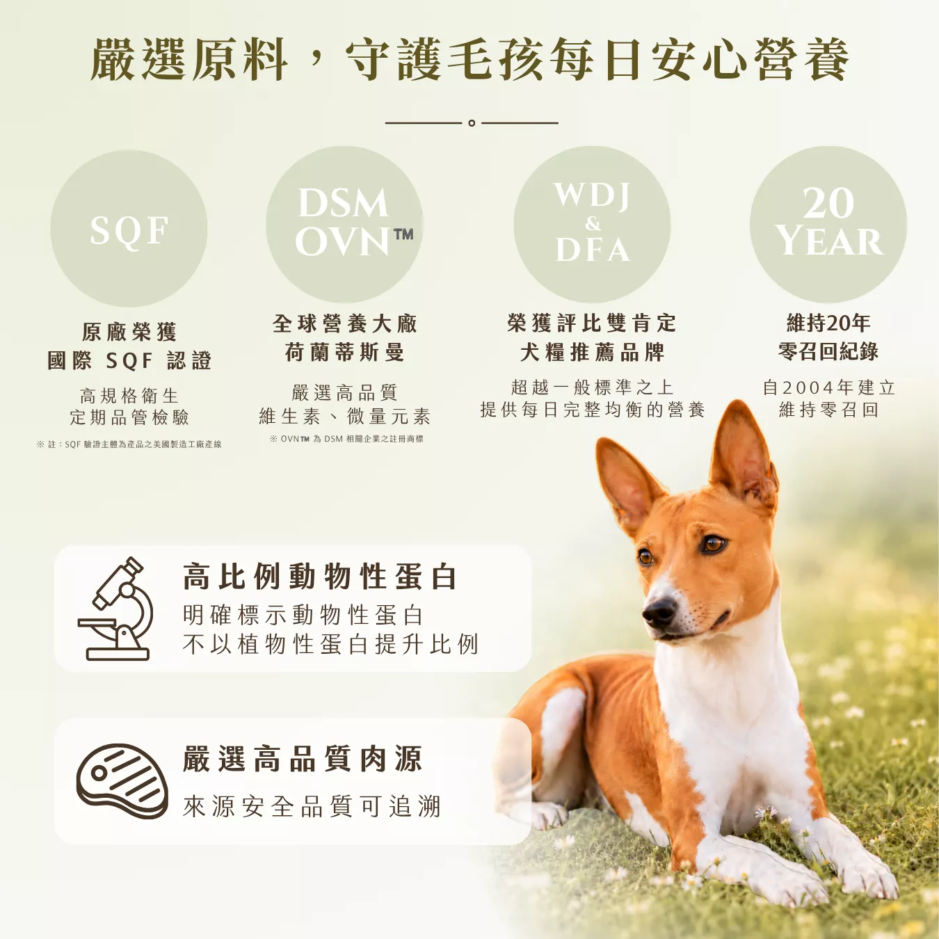 提姆博士_海洋-7.png