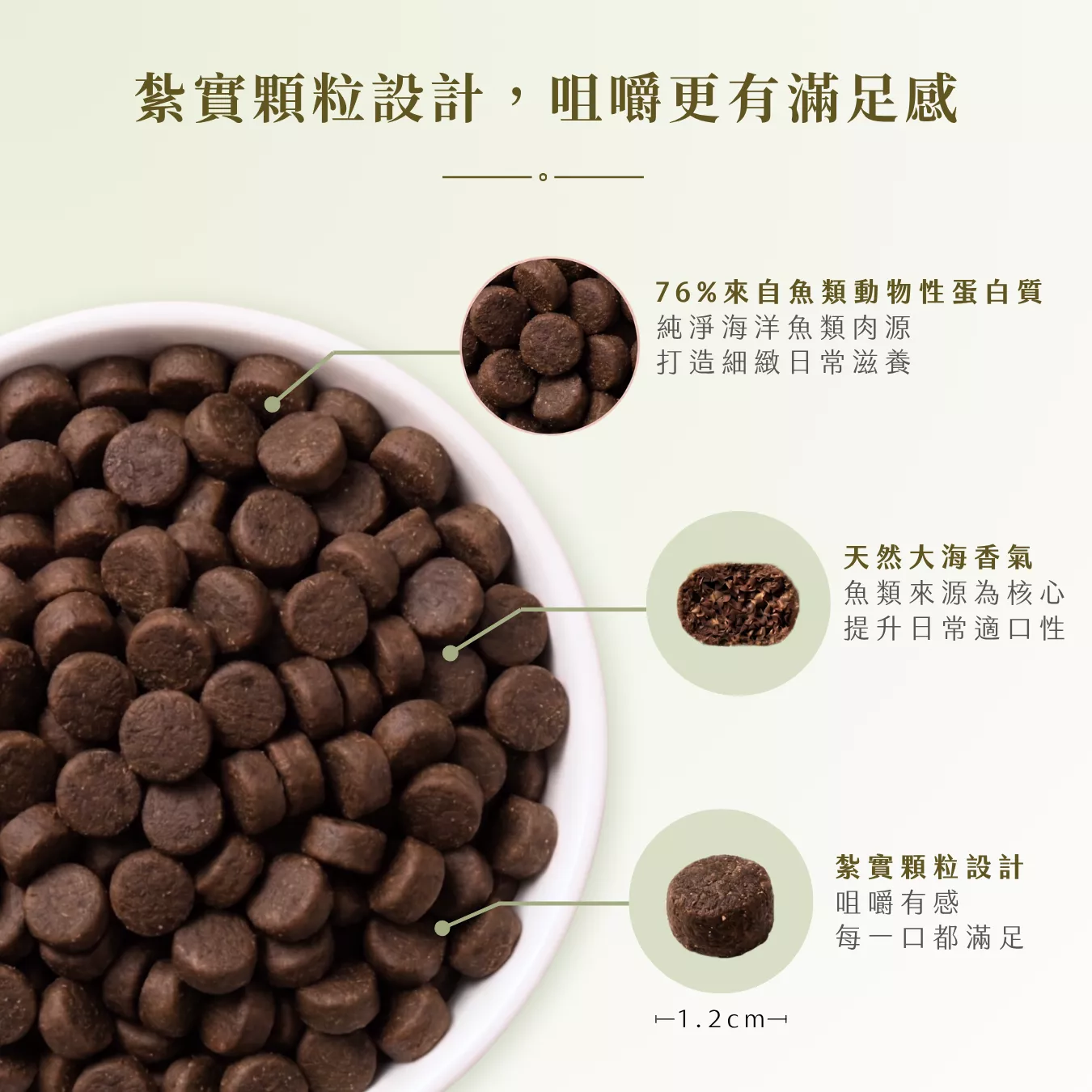 提姆博士_海洋-8.png
