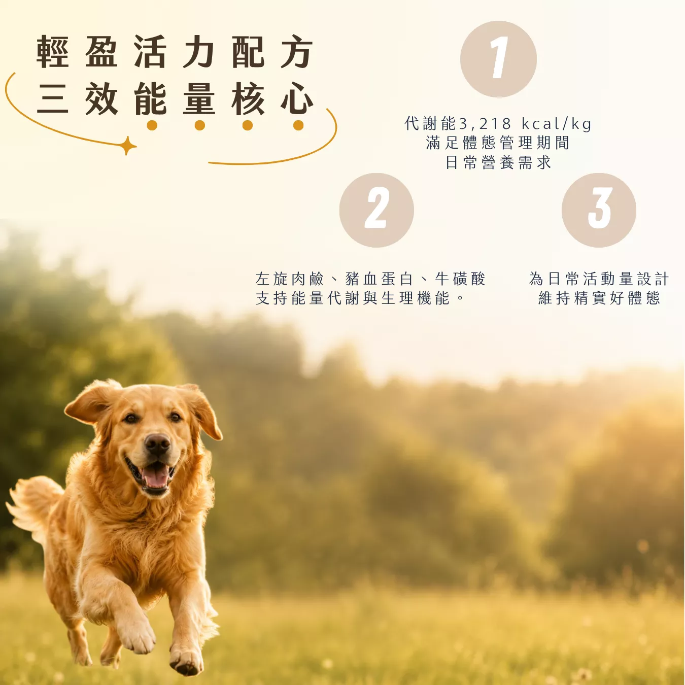 提姆博士_體重-5.png