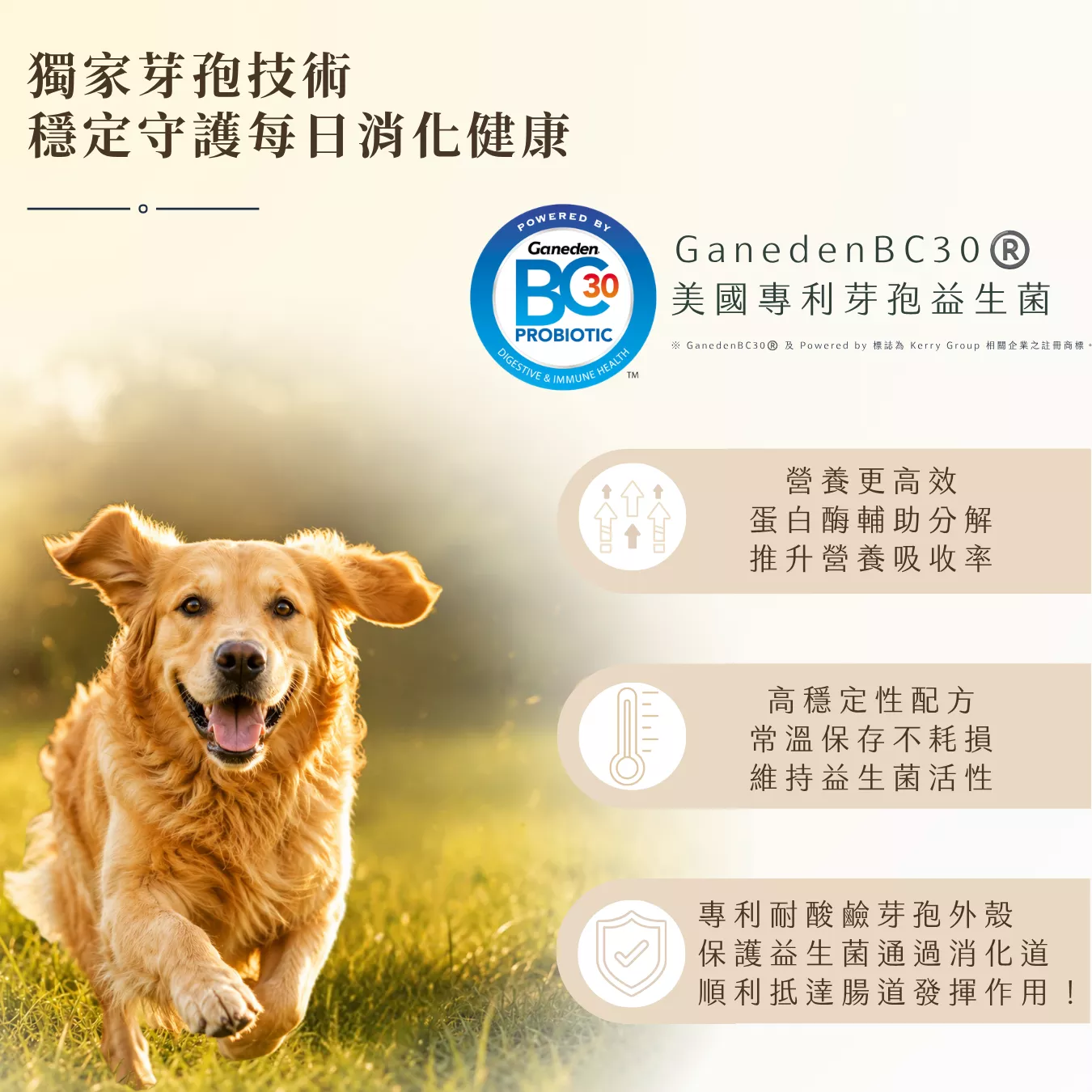 提姆博士_體重-6.png