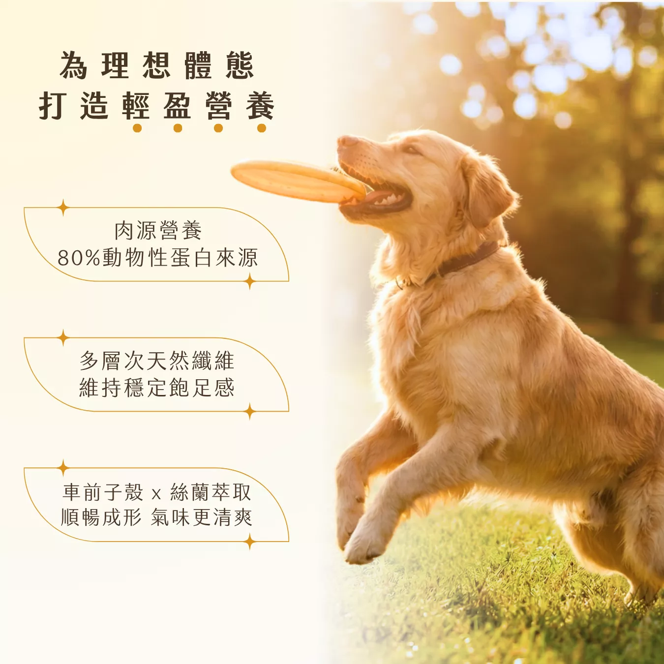提姆博士_體重-3.png