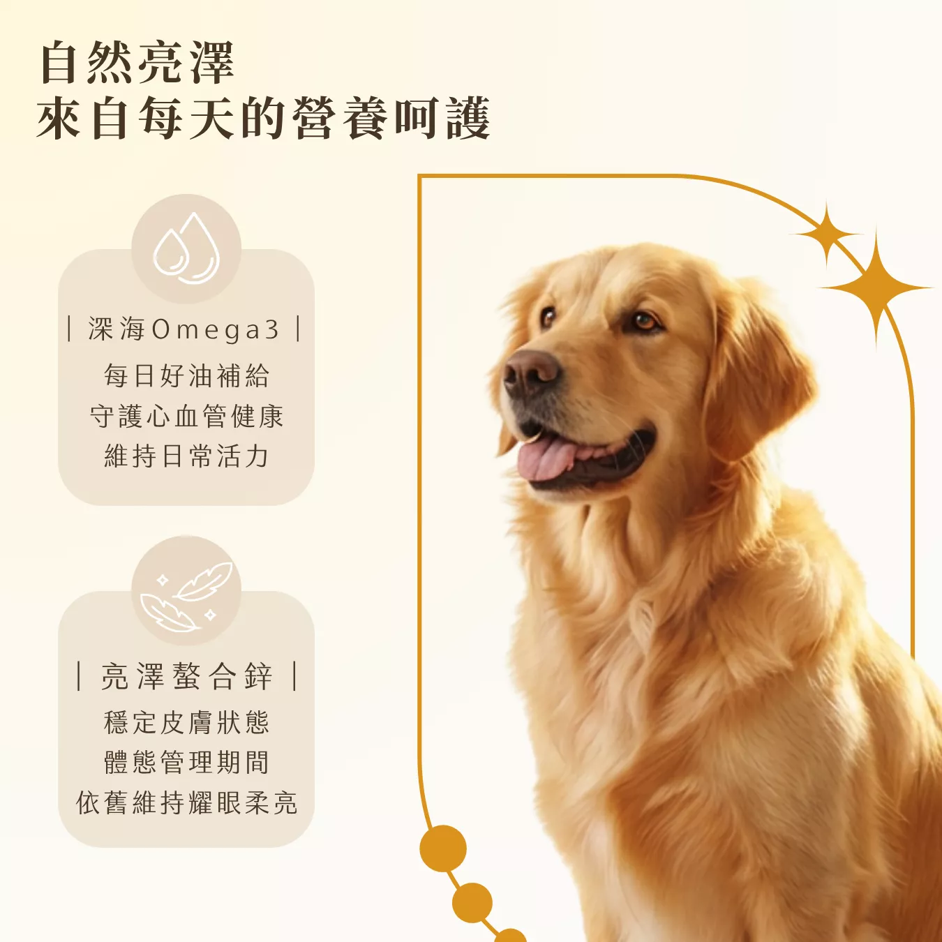 提姆博士_體重-4.png