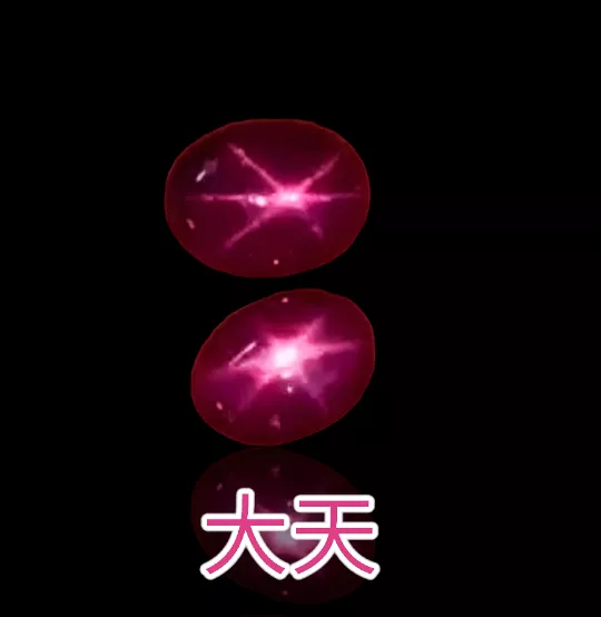 海外預購天然紅寶星石組