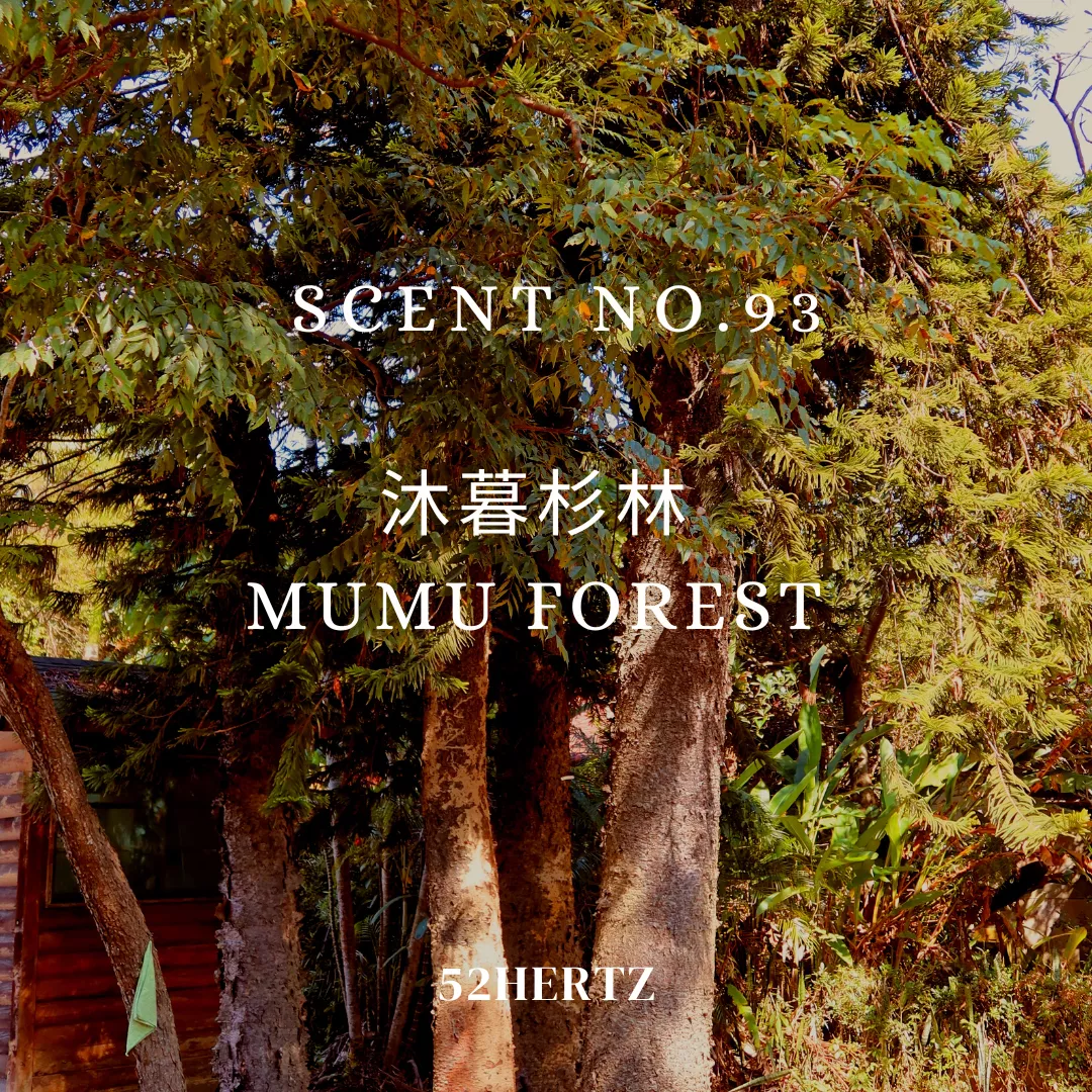 NO.93 沐暮杉林｜香氛噴霧