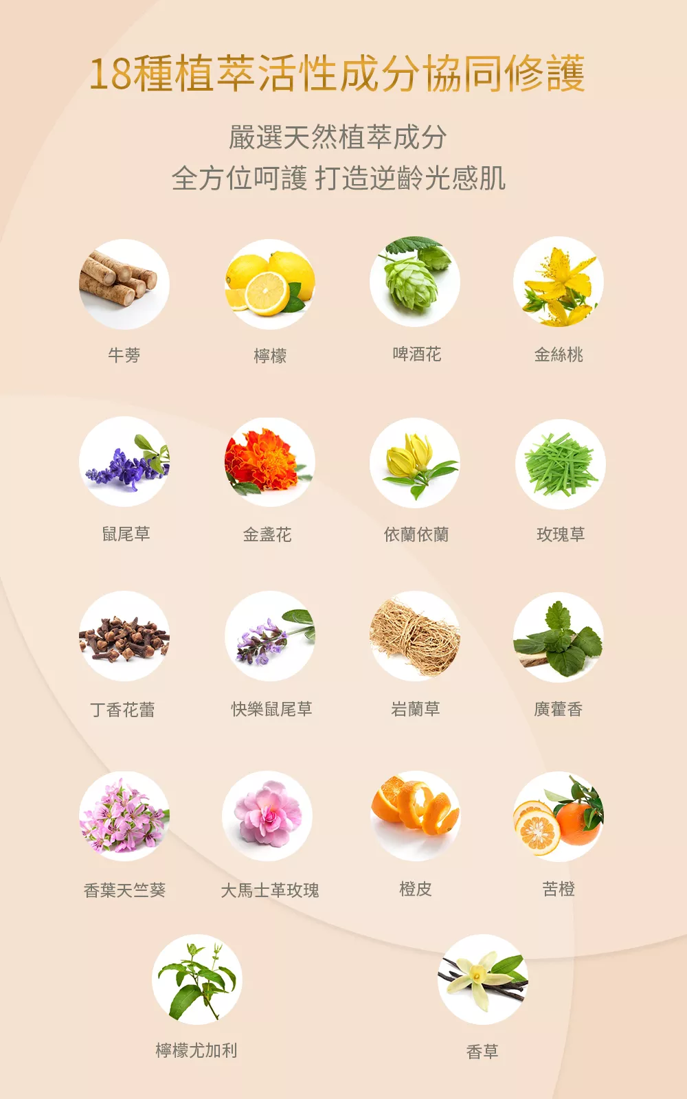 7529_642d38d058552.png