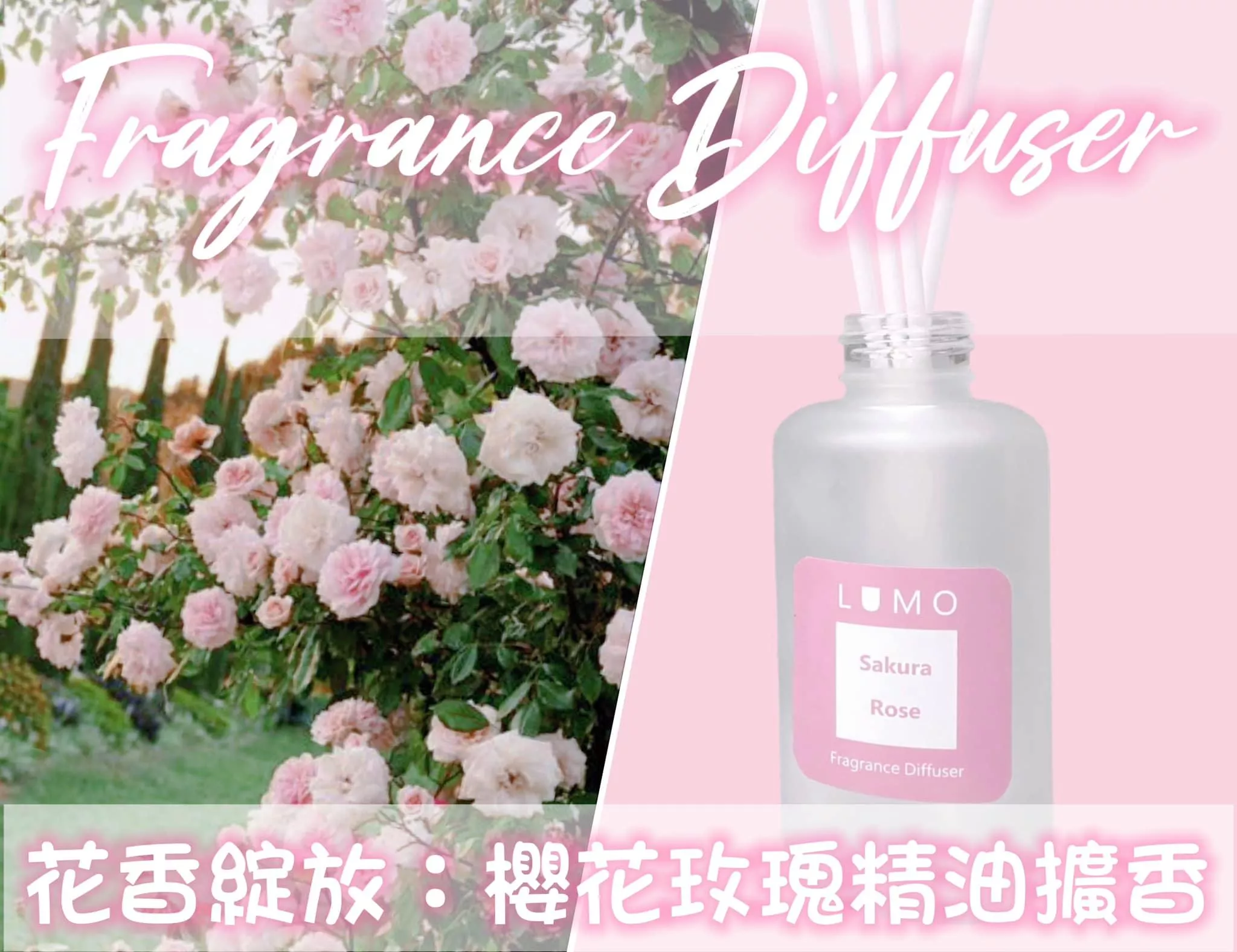 櫻花玫瑰室內擴香100ml