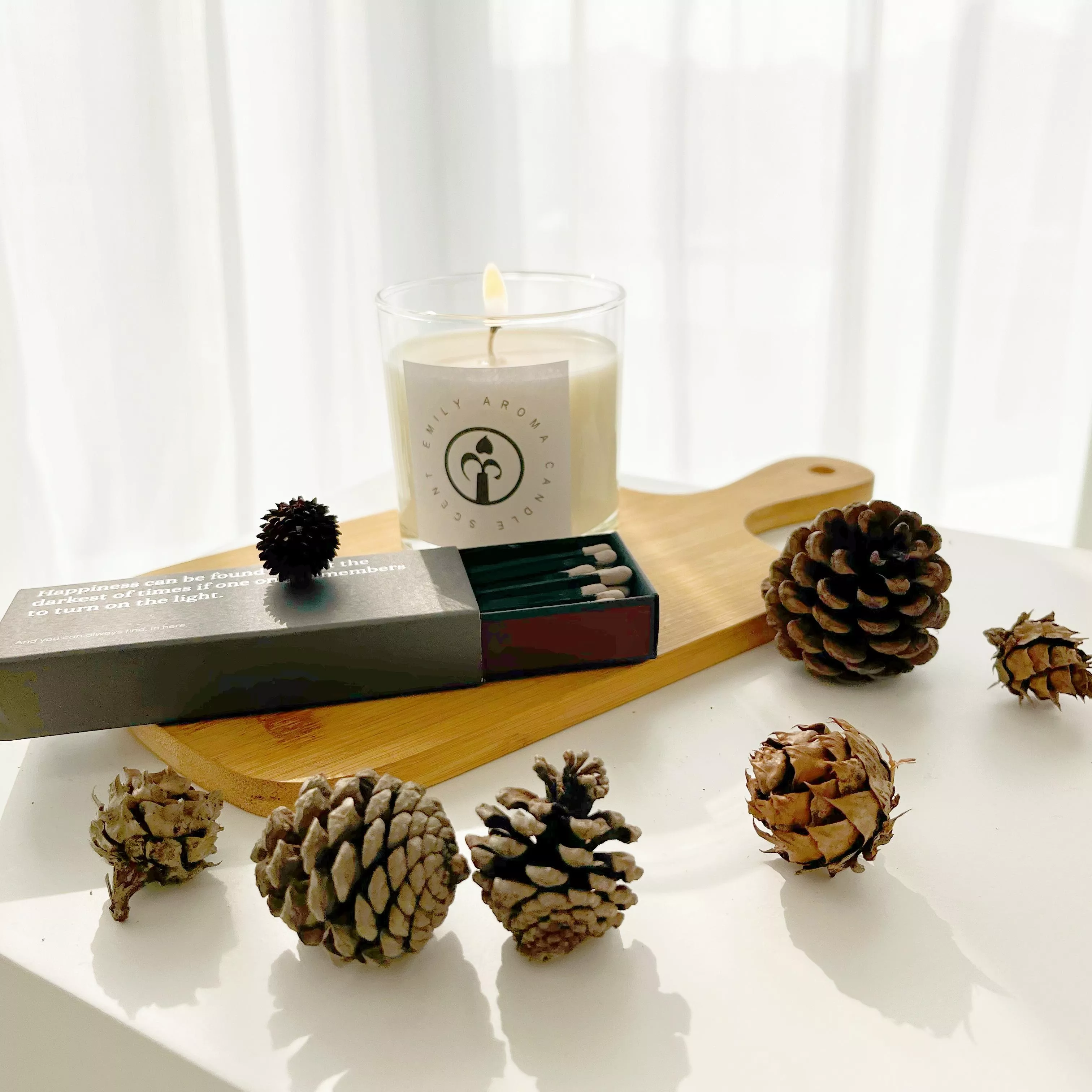 藍龍舌蘭與可可