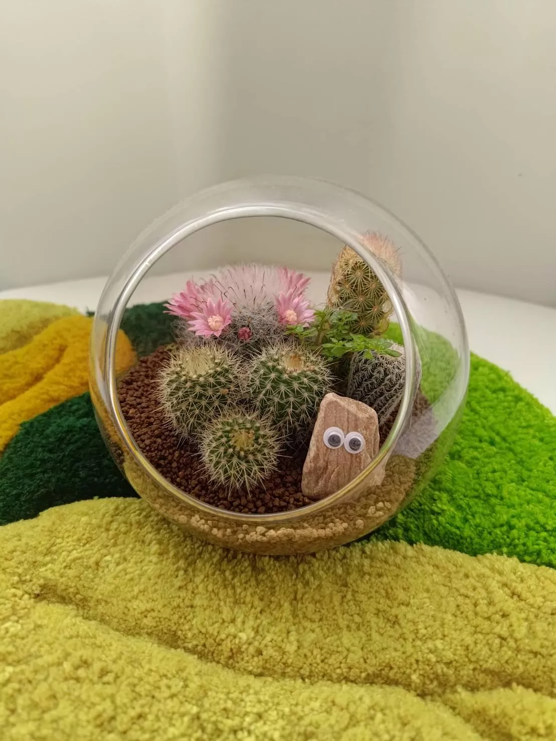 盆栽種植課程-小精靈的玻璃球