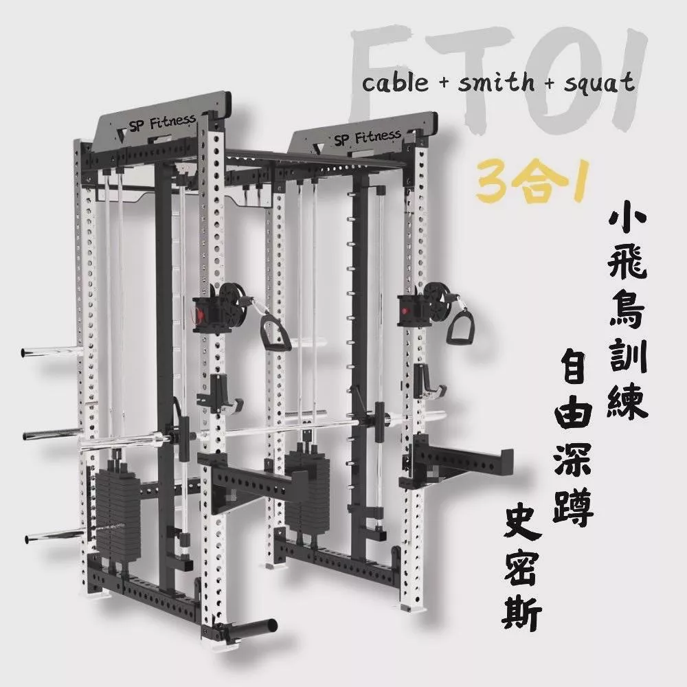 FT-01商用史密斯綜合訓練架