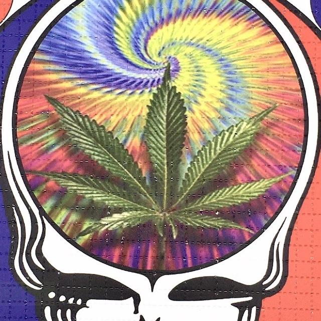 【SATIVA】吃錯藥藝術相框 Blotter 死之華 骷髏 Grateful Dead 迷幻 郵票 LSD 419