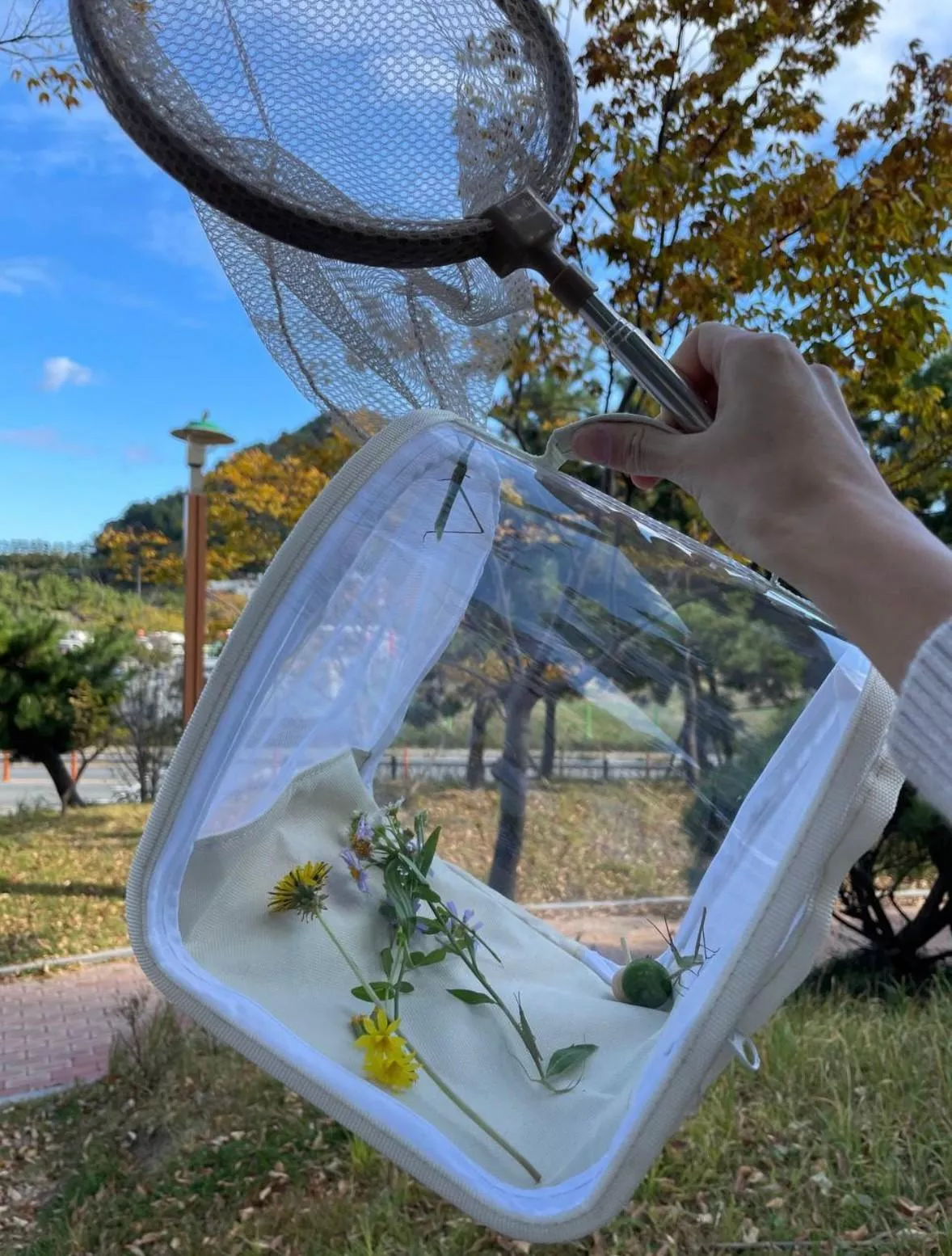 探索大自然🇰🇷[觀察箱+補蟲網]組合-首團贈收納袋