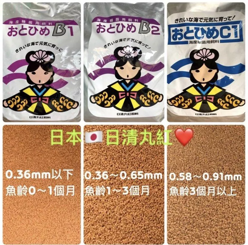 日本原廠❤️日清丸紅❤️飼料B1/B2/C1/S1/S2 仔魚 成魚 小型魚 飼料