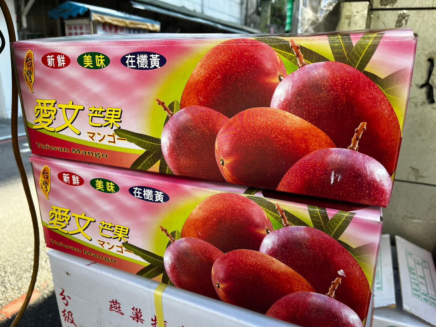 【原箱】精品愛文芒果