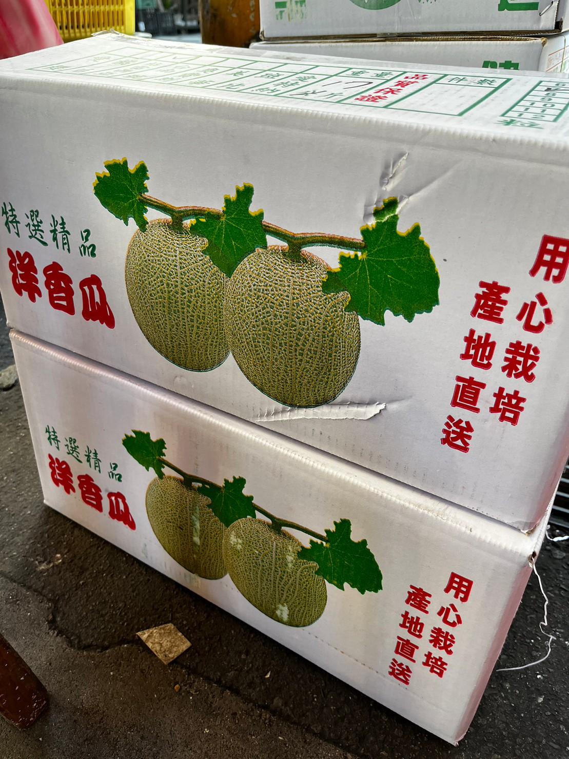 【原箱】綠肉溫室哈密瓜