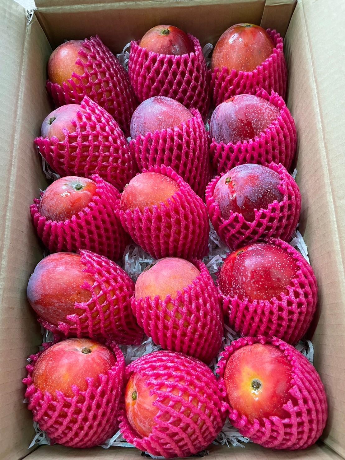 【原箱】精品愛文芒果