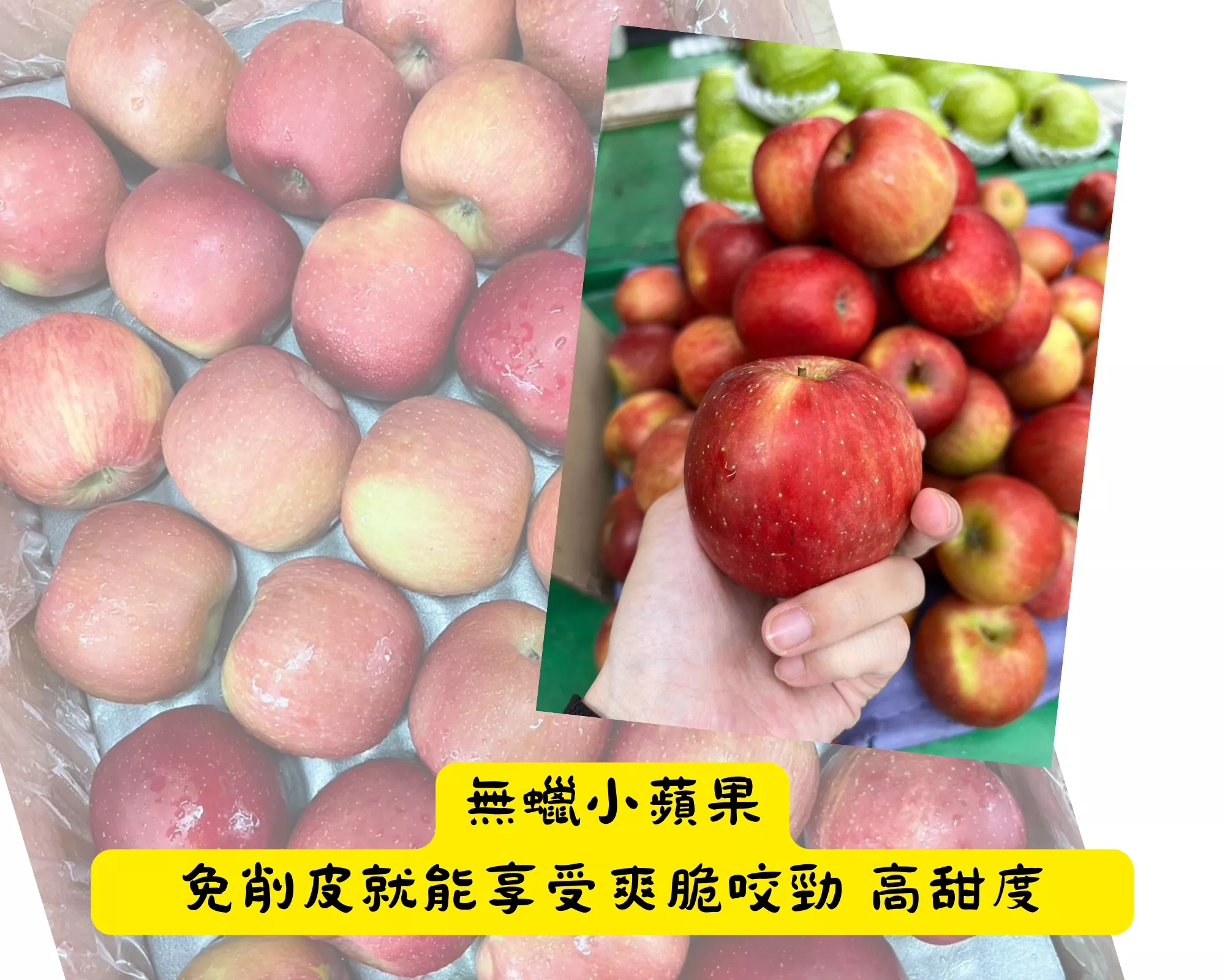 【小資組】南非無蠟小蘋果