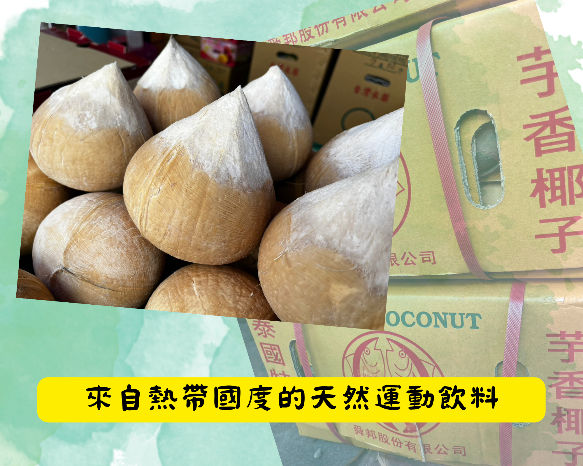 【小資組】泰國芋香椰子