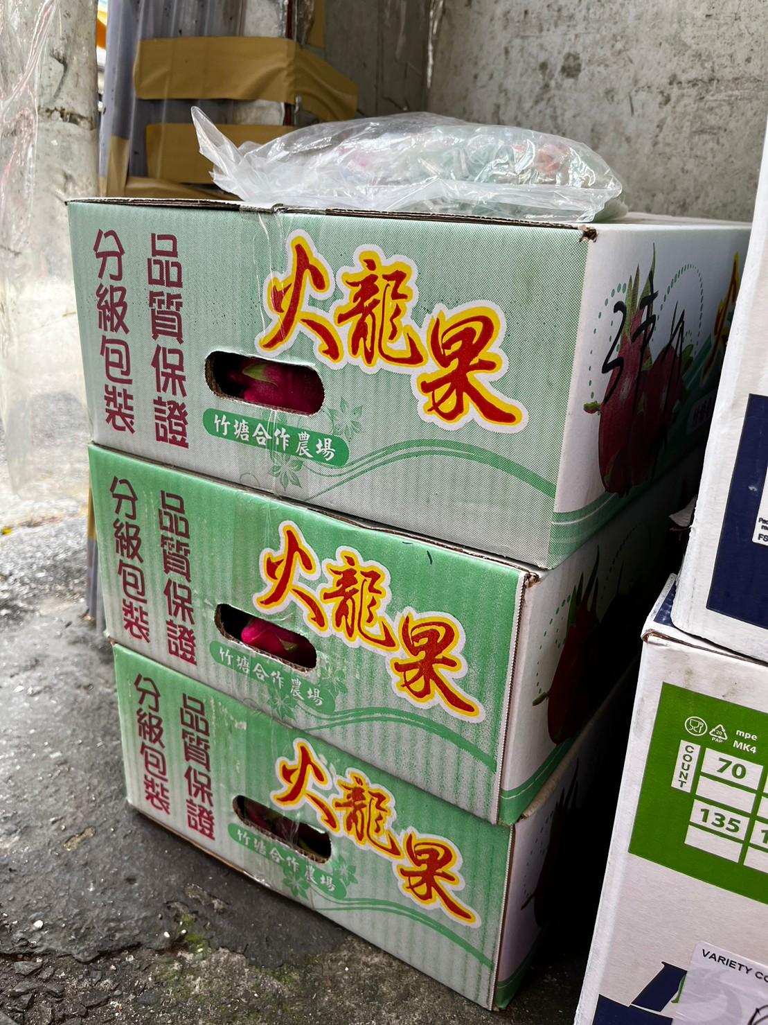【原箱】白肉火龍果