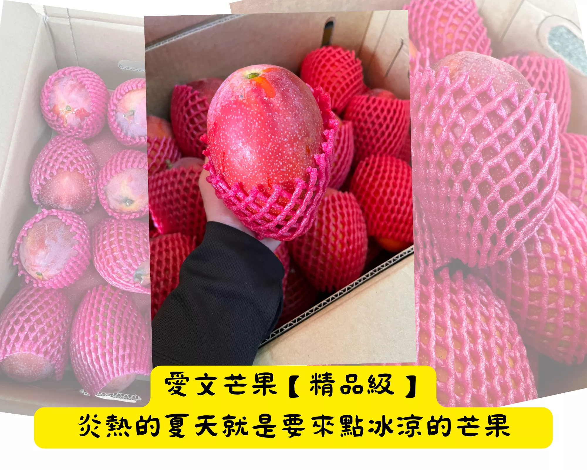 【原箱】精品愛文芒果