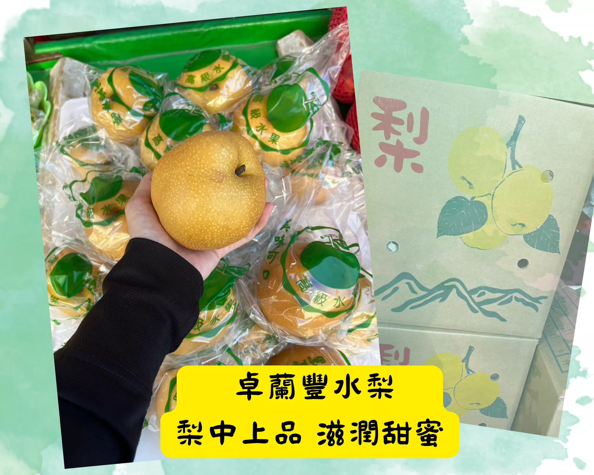 【小資組】卓蘭豐水梨