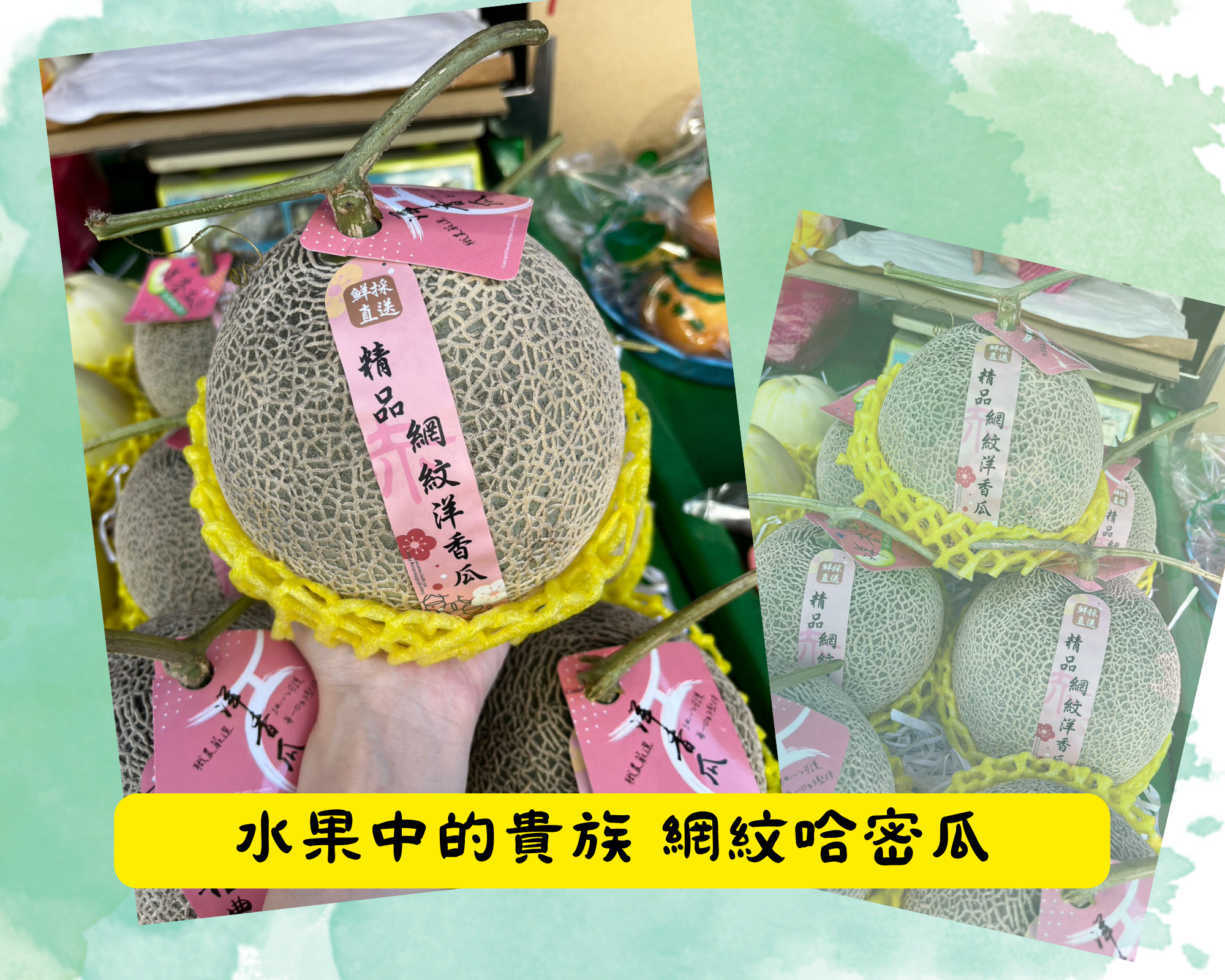 【原箱】綠肉溫室哈密瓜