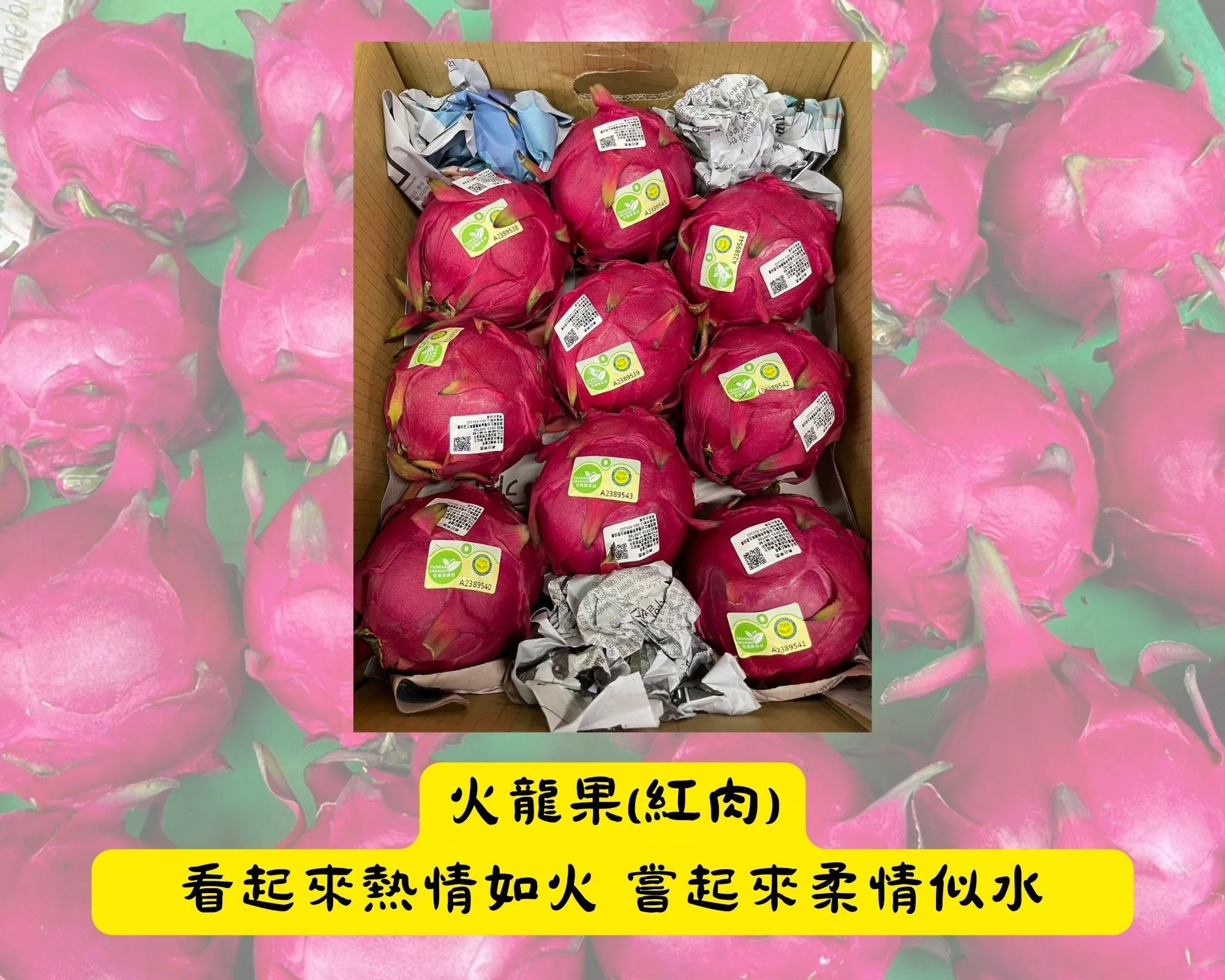 【原箱】紅肉火龍果