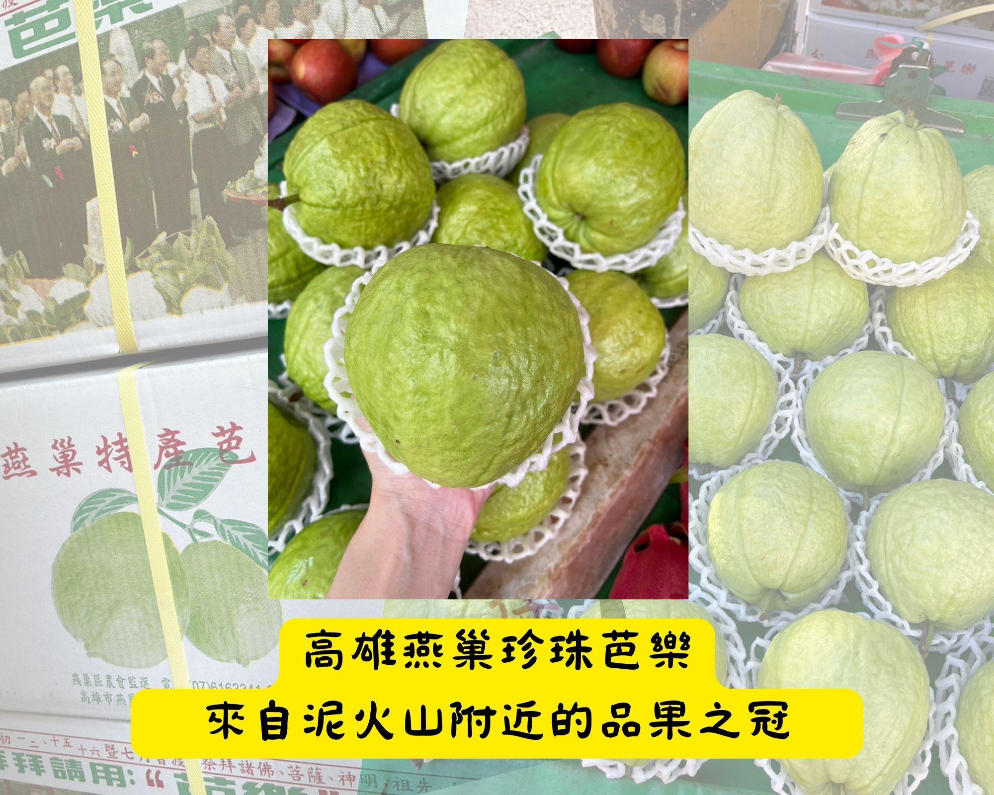 【小資組】燕巢珍珠芭樂