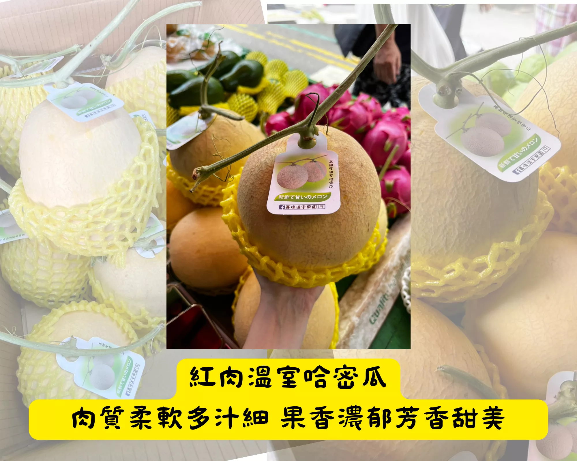 【原箱】紅肉溫室哈密瓜
