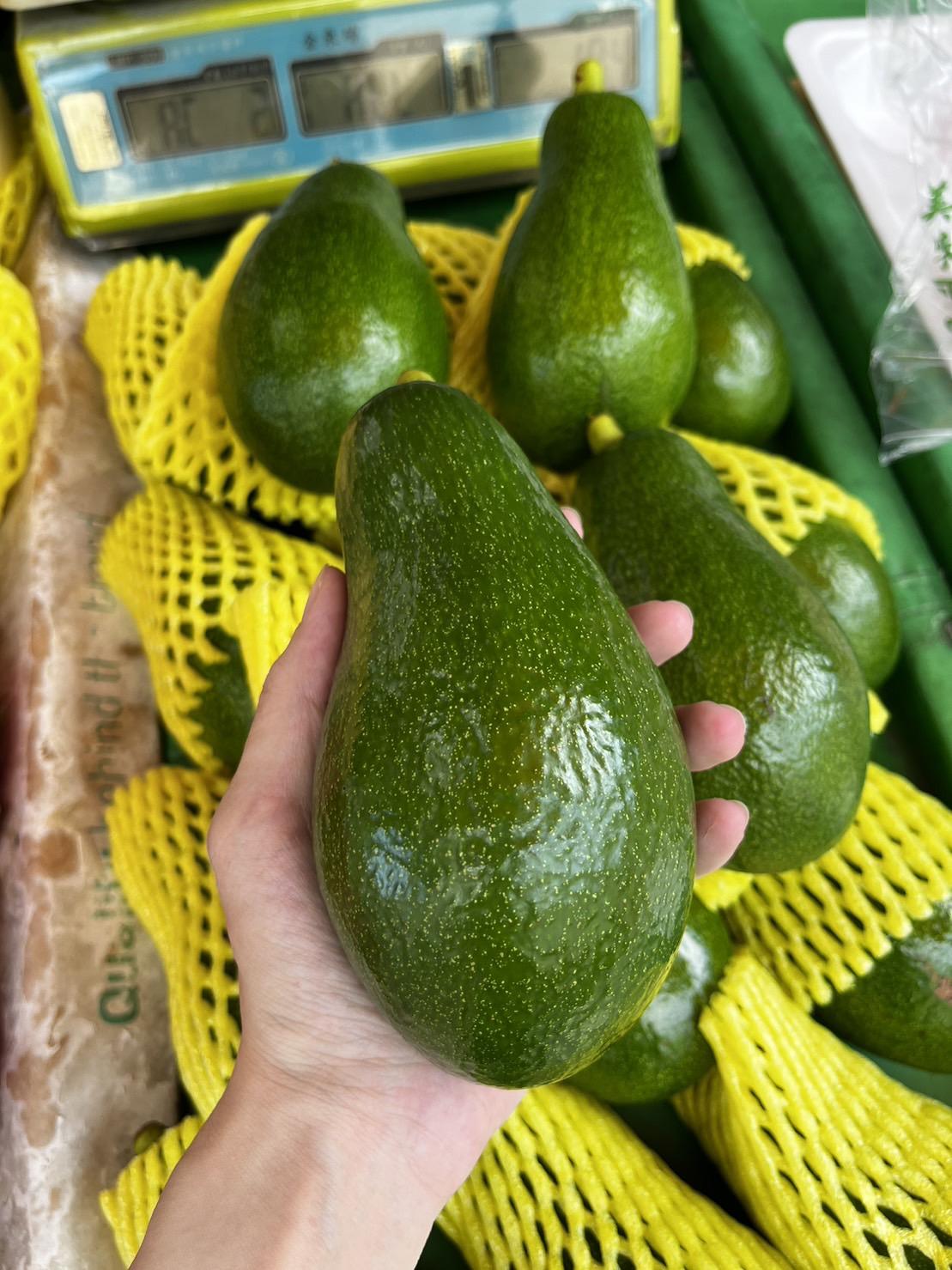 【原箱】台南酪梨