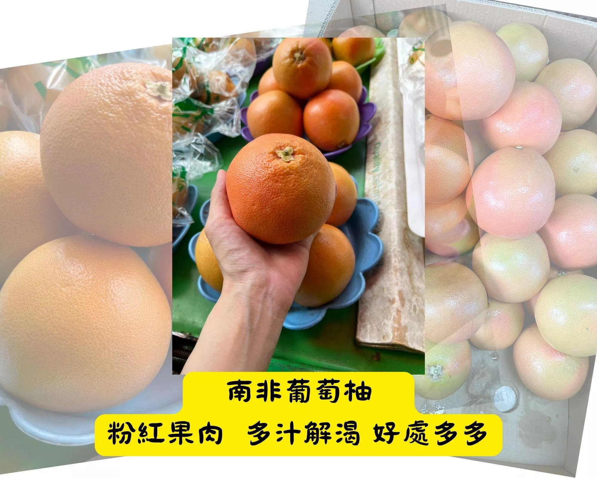 【小資組】南非葡萄柚