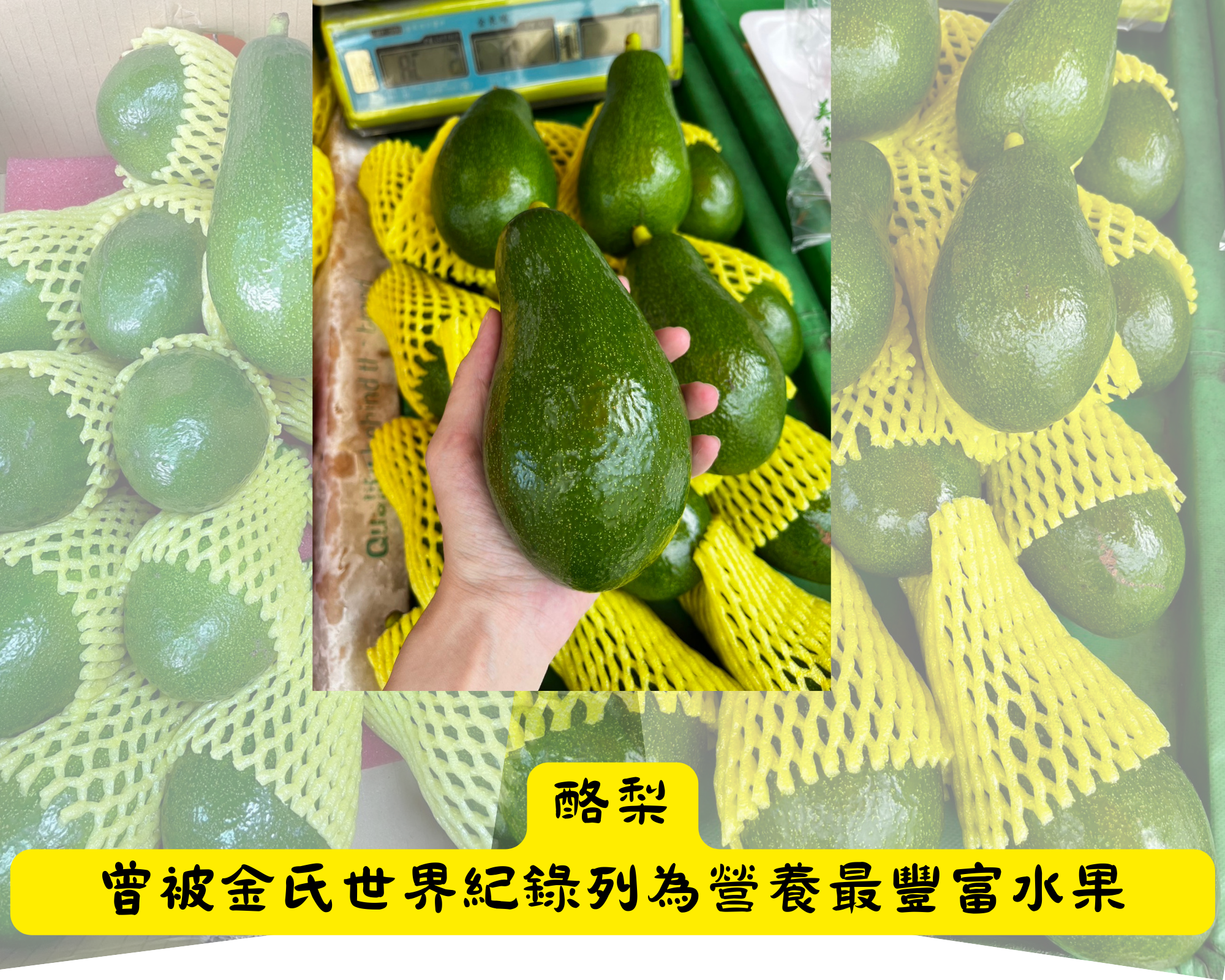 【原箱】台南酪梨