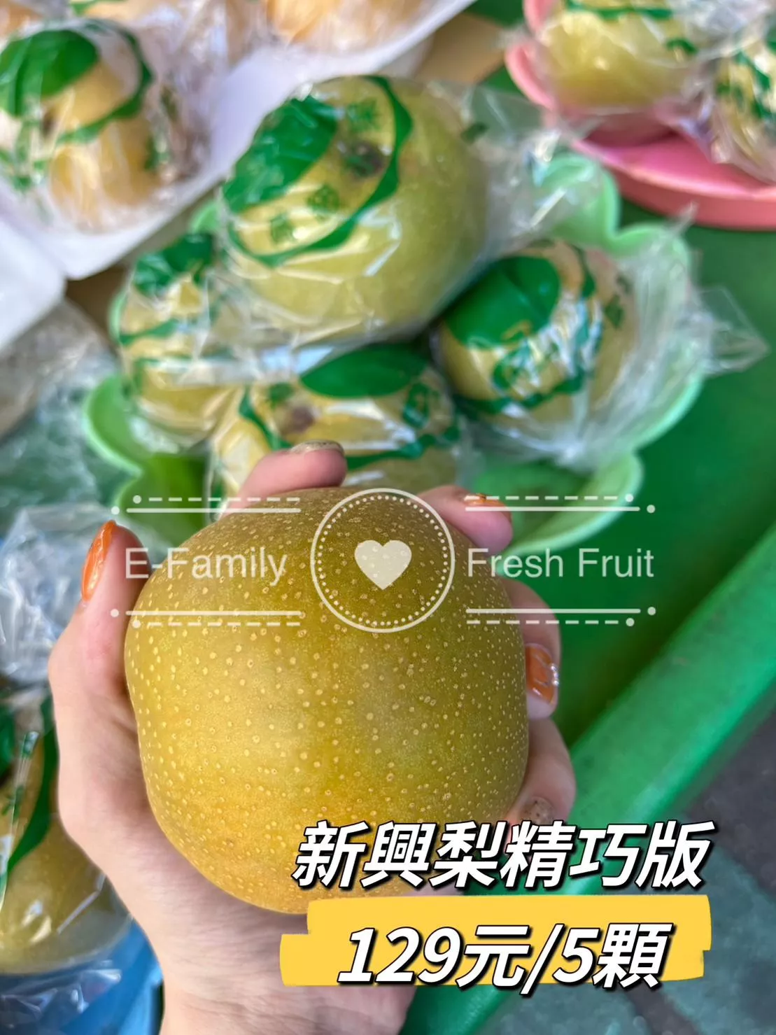 【小資組】新興梨精巧板 5入