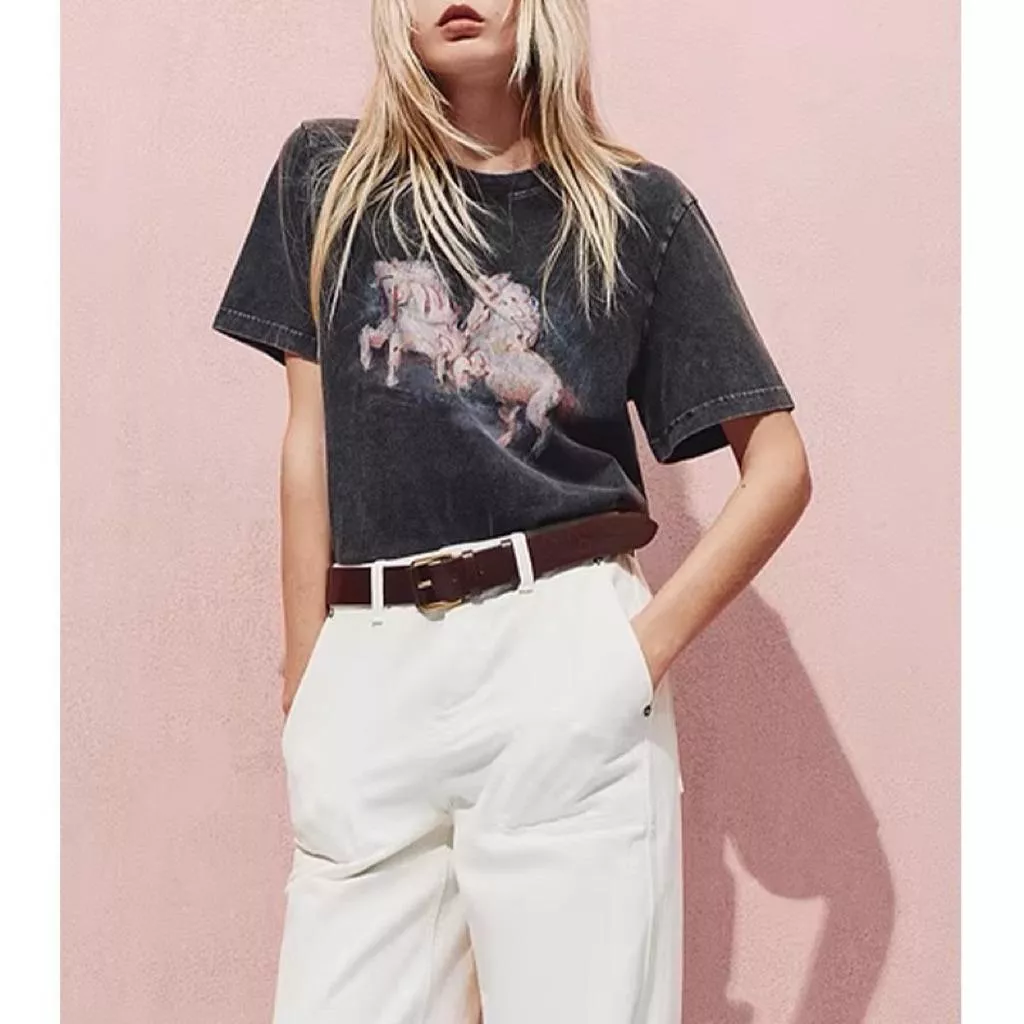 短袖T恤DANDT時尚棉質藝術群馬彩繪圓領T（26 MAR IAN2)同風格請在賣場搜尋-歐美服飾