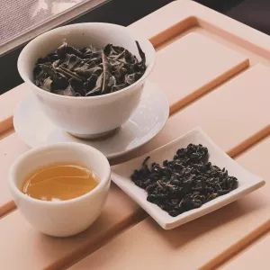 青心烏龍