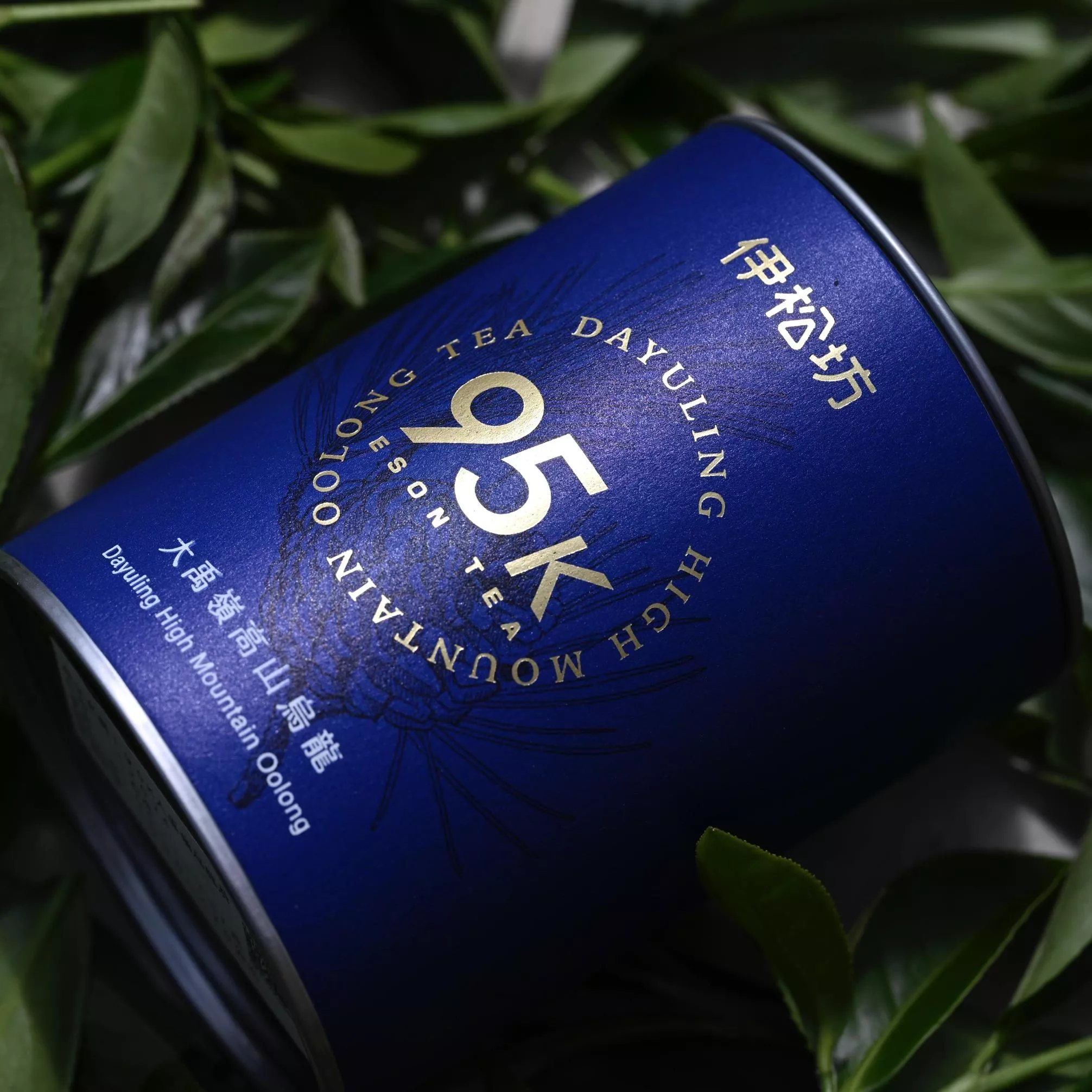 大禹嶺茶