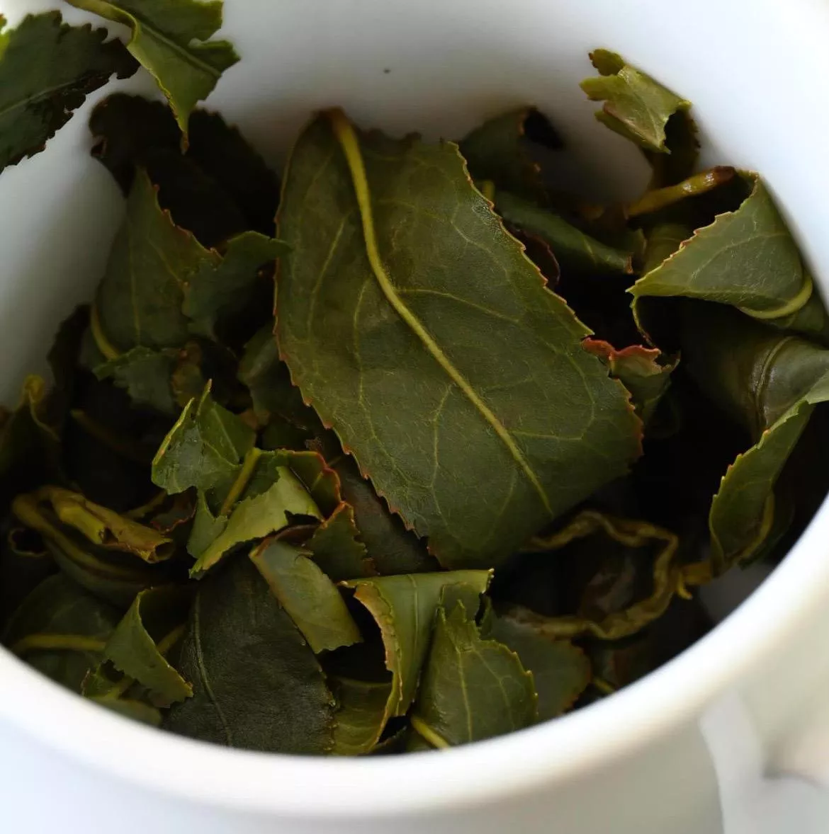 95K大禹嶺烏龍茶【2025秋】(75g一入)