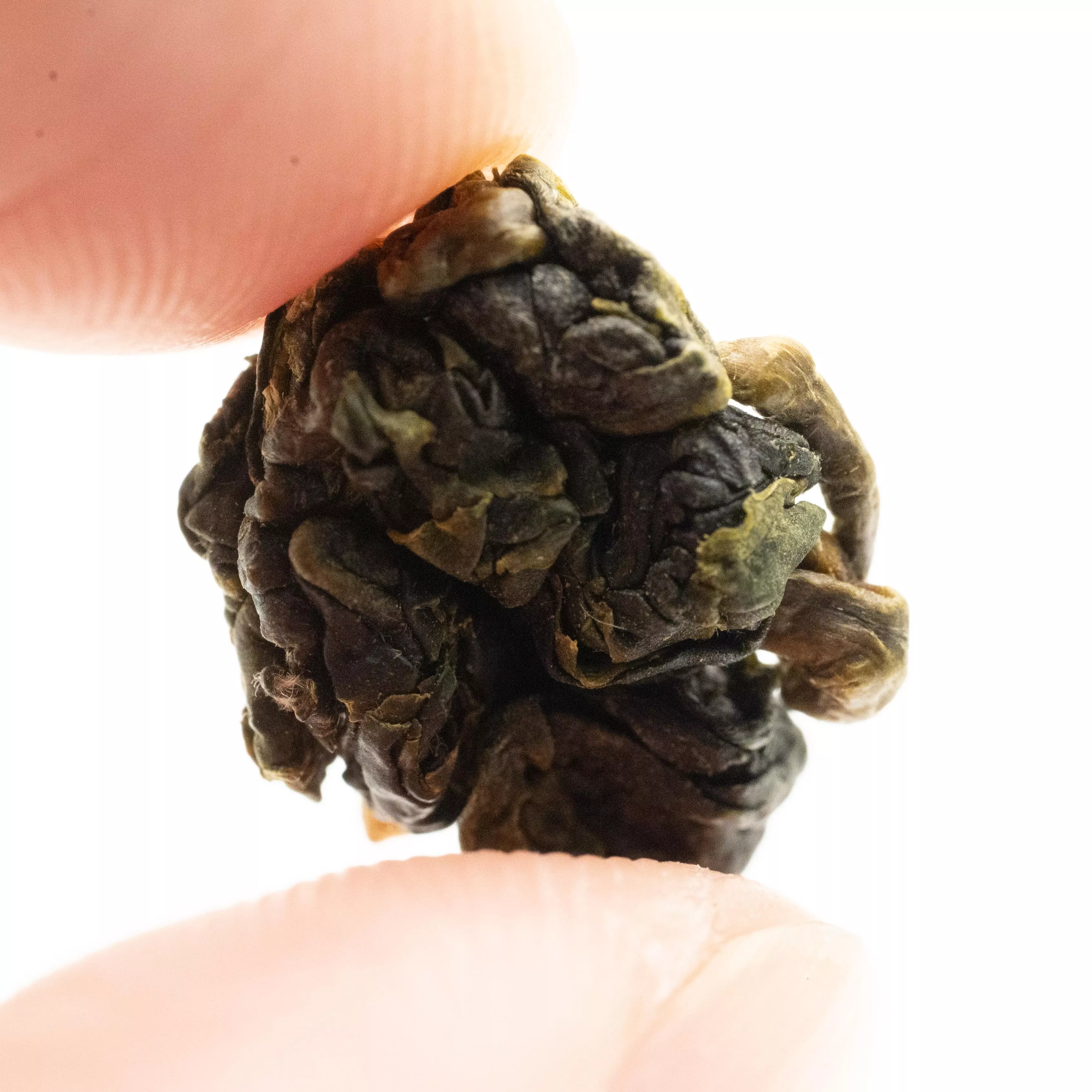 華岡・青心烏龍烏龍茶｜謝雨涵製｜75g