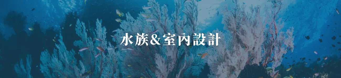 水族室內設計