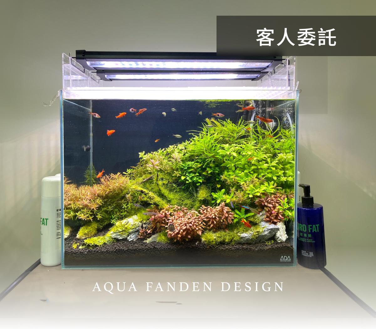 綠意竹北：竹北市水族箱水草魅力