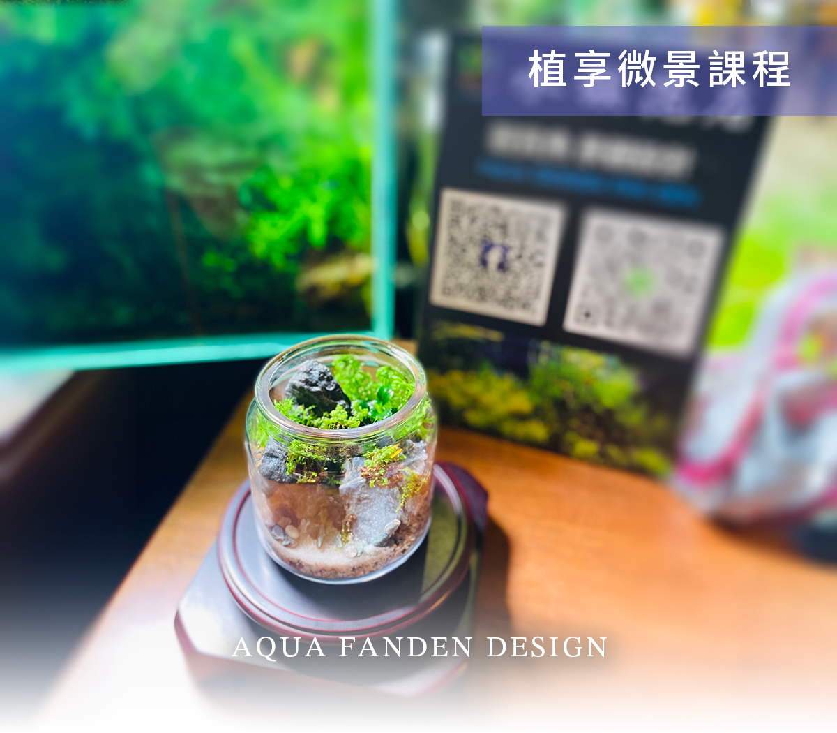 微景生態瓶企業教學影片 ❙ 植享微景課程