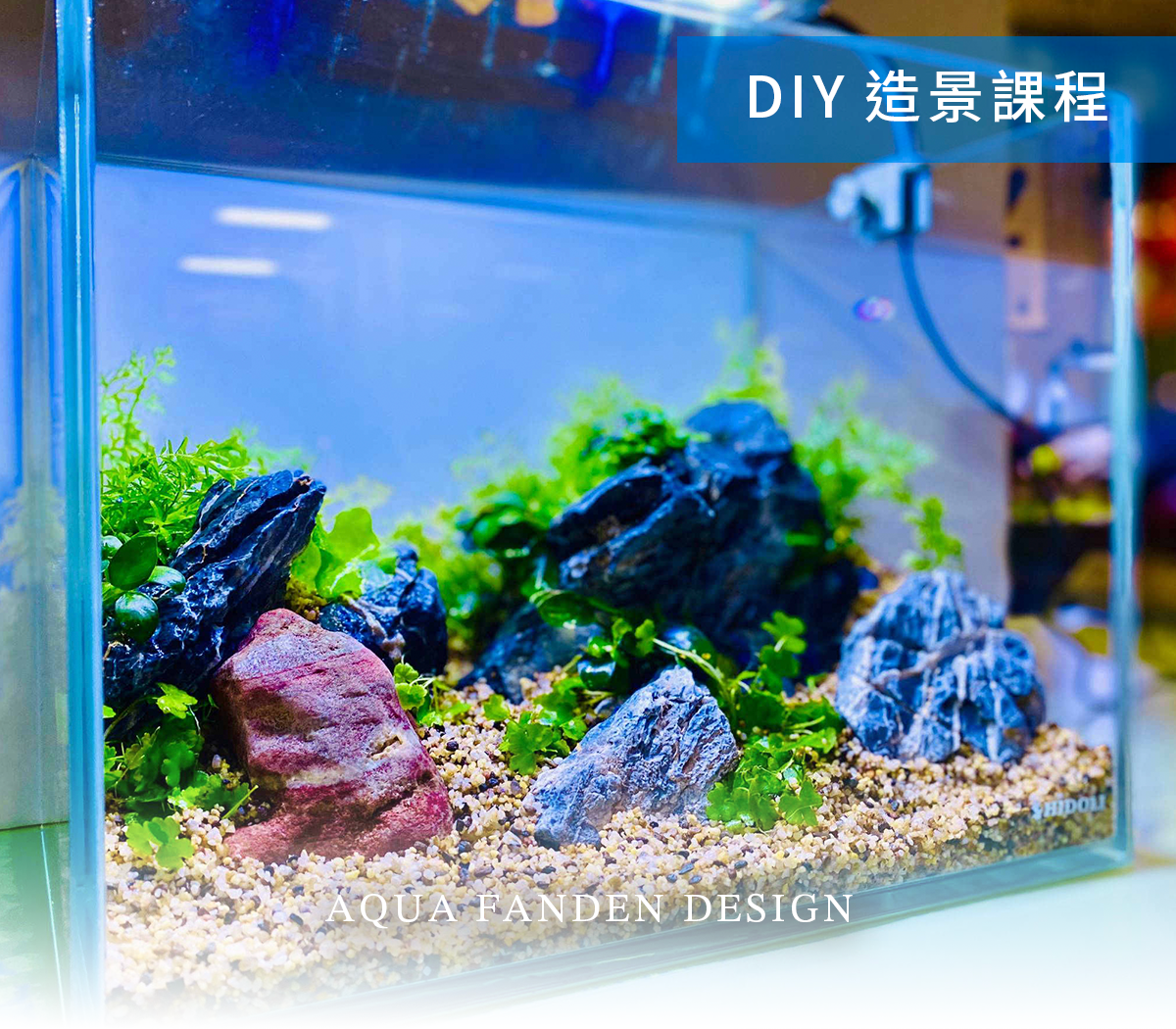 東區一家人合作的水草造景 ❙ 造景DIY教室