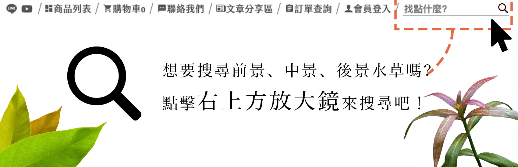 8402_64ce0d3c53f85.png